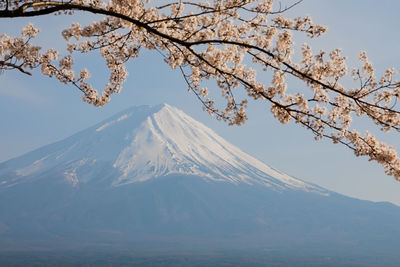 Scenic view of snow covered mountain against sky