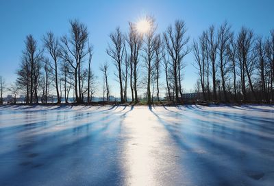 Bare trees on snow covered land against sky