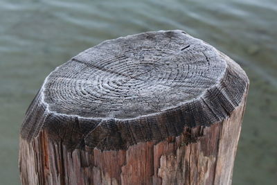 Close-up of wooden post at beach