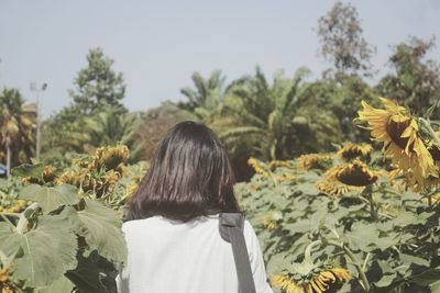 Rear view of woman with sunflower against plants