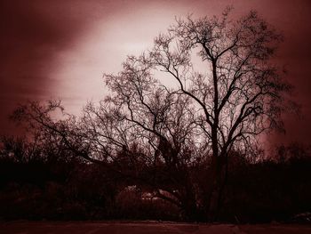 Empty road at sunset