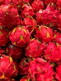 Full frame shot of red berries