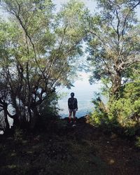 Rear view of man walking in forest