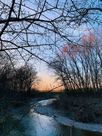 Bare trees by lake against sky during sunset