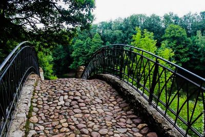 Footbridge in forest