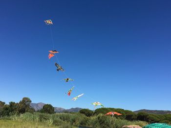 Low angle view of kite flying in blue sky