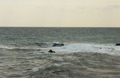 Scenic view of sea against sky