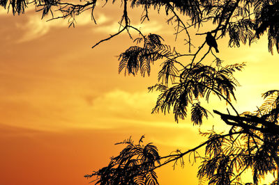 Low angle view of silhouette tree against orange sky