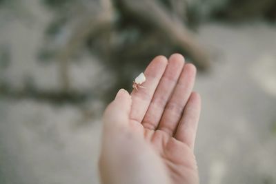 Close-up of cropped hand