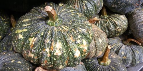 Full frame shot of pumpkin