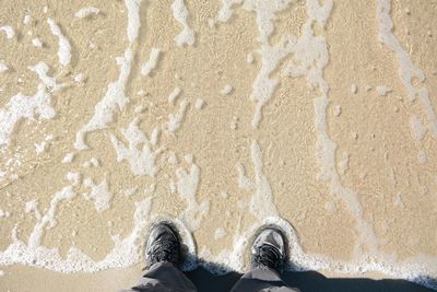 Low section of person standing on beach