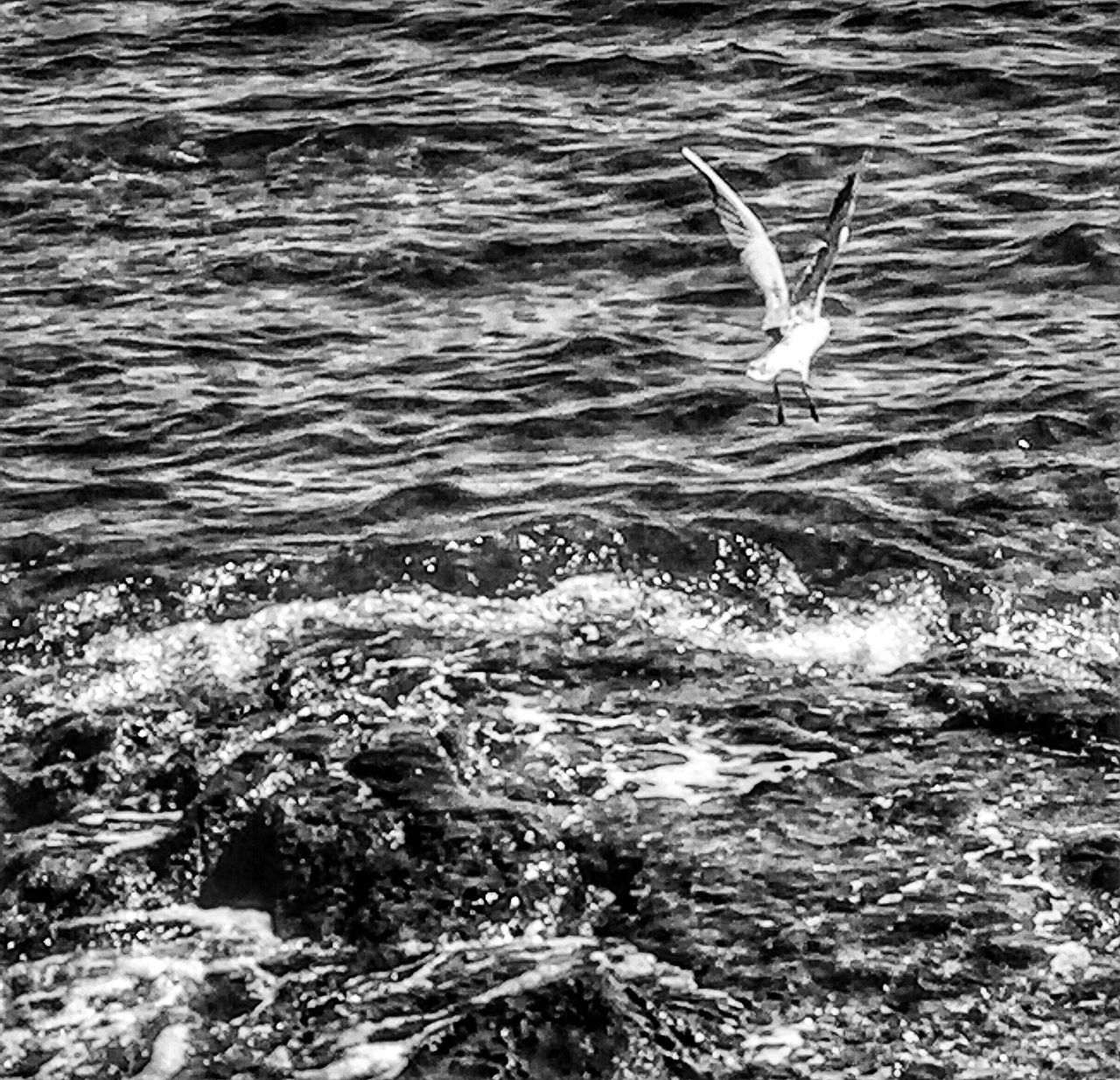 VIEW OF FLYING OVER SEA