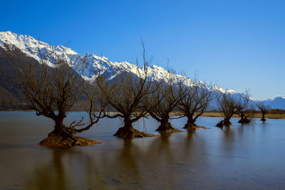 Scenic view of lake against clear sky