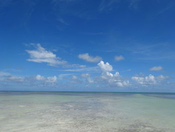 Scenic view of sea against blue sky