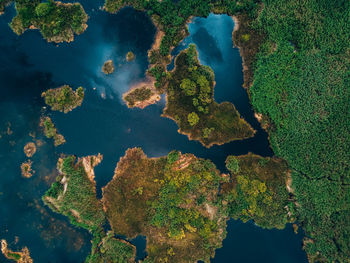 Lake from above