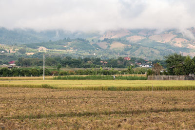 Scenic view of field and mountains against sky