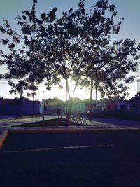 Silhouette of tree by road against sky