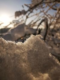 Close-up of snow on land