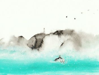 Bird flying over sea