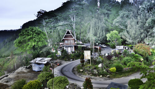 Trees and hut in forest