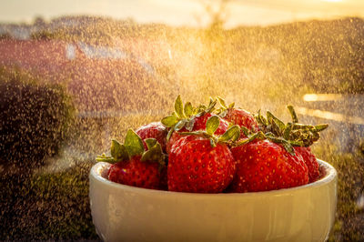 View of strawberries in bowl