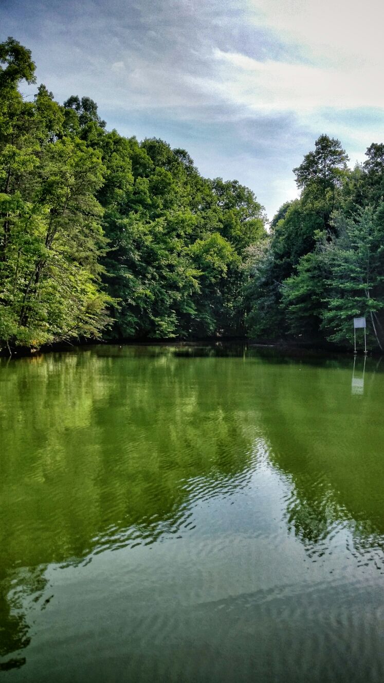 Melton Hill Lake