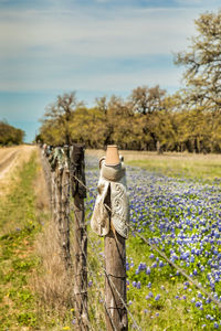 Cowboy boots on a fence, texas hill country