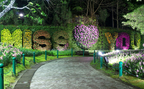 View of flowering plants in garden