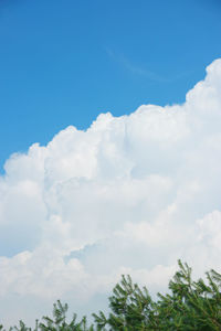 Low angle view of clouds in blue sky
