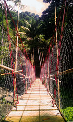 Walkway leading towards trees