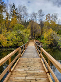 Wooden footbridge amidst trees in forest