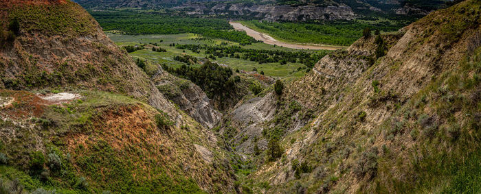 High angle view of trees on landscape