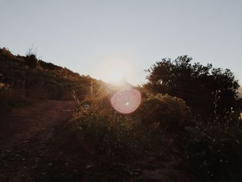 Scenic view of field against clear sky