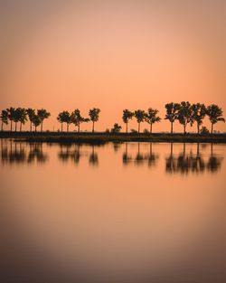 Scenic view of lake by palm trees against sky during sunset