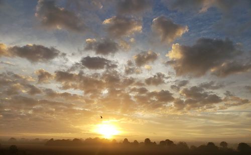 Low angle view of sky during sunset