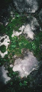 High angle view of water flowing through rocks