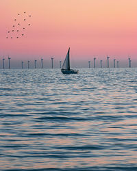 Sailboats in sea against sky during sunset