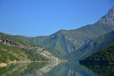 Lake koman is a reservoir on the drin river in northern albania, surrounded by dense forested hills,