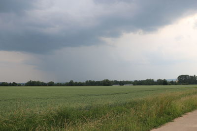 Scenic view of field against sky