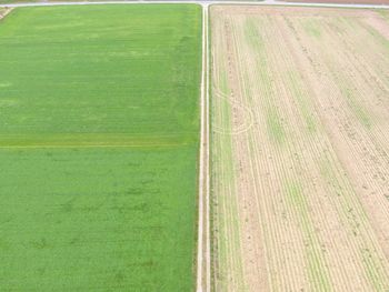 High angle view of agricultural field