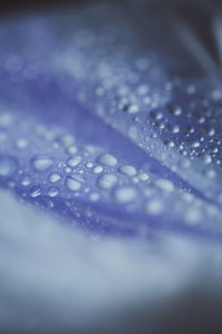 Close-up of water drops on glass