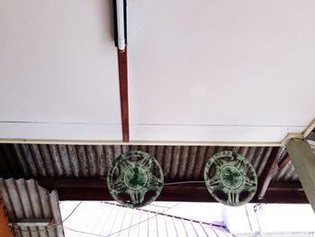 Potted plants on wall of building