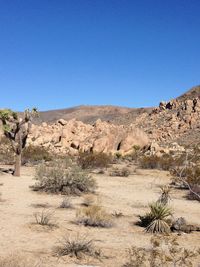 Scenic view of desert against clear blue sky