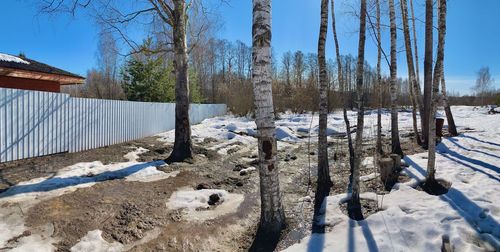winter