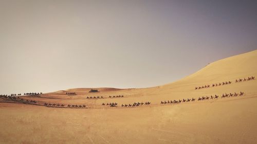 Scenic view of desert against clear sky