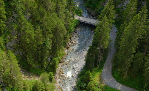 High angle view of road amidst trees in forest