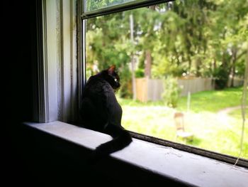 Black cat sitting on window sill