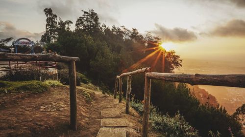 Footpath amidst trees on field against sky during sunset
