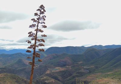 Scenic view of mountains against sky