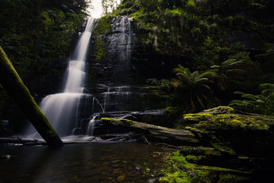 Fast flowing waterfall surrounded by dense forests - wye river, victoria, australia